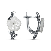 ������ ����� ��������� � �����������